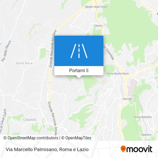 Mappa Via Marcello Palmisano