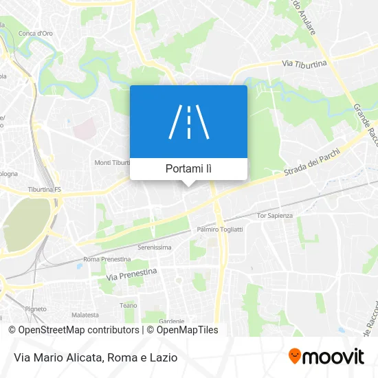 Mappa Via Mario Alicata