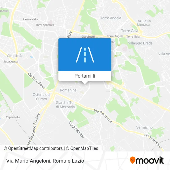 Mappa Via Mario Angeloni