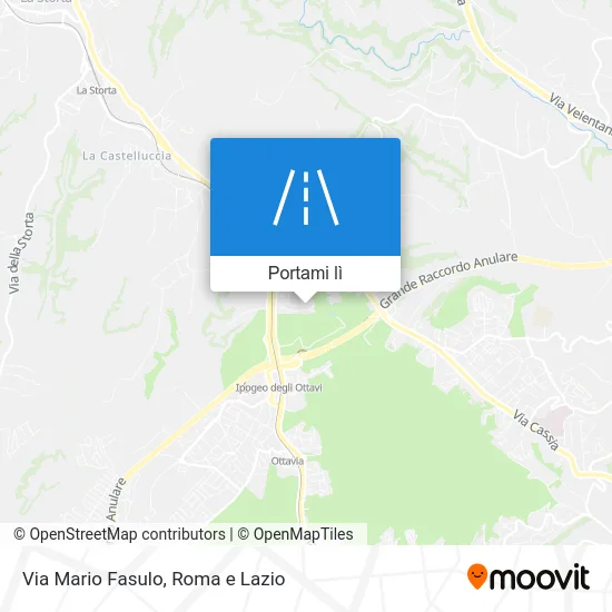 Mappa Via Mario Fasulo