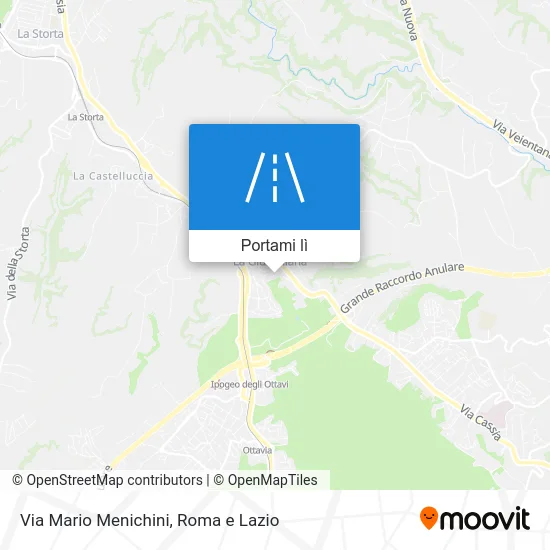Mappa Via Mario Menichini