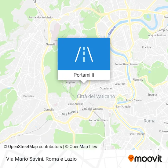 Mappa Via Mario Savini