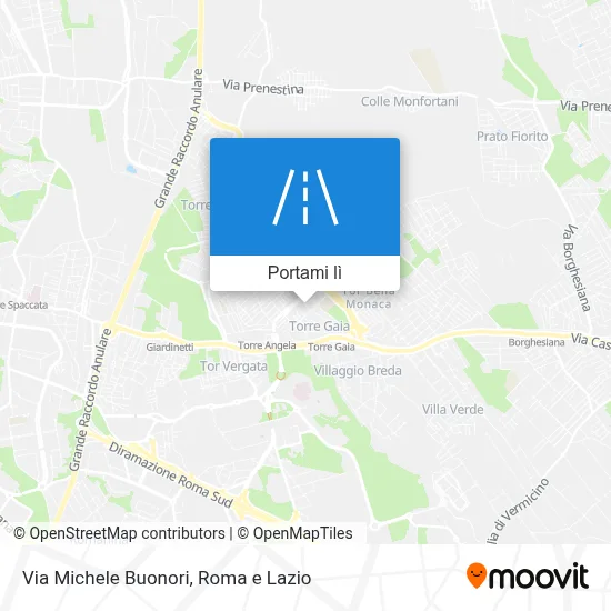 Mappa Via Michele Buonori
