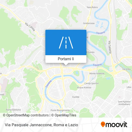 Mappa Via Pasquale Jannaccone