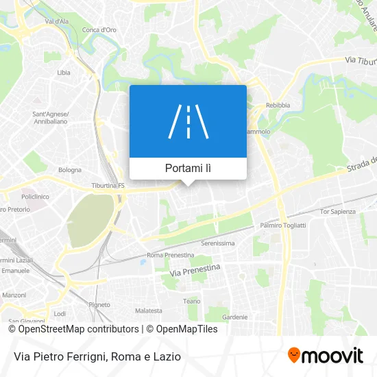 Mappa Via Pietro Ferrigni