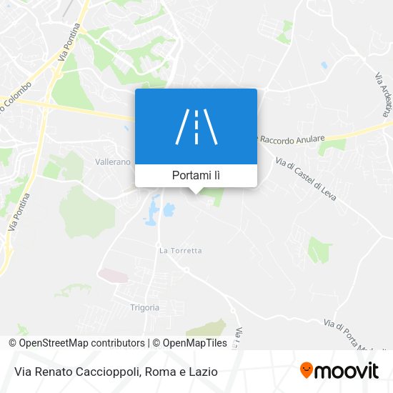 Mappa Via Renato Caccioppoli