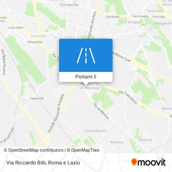 Mappa Via Riccardo Billi