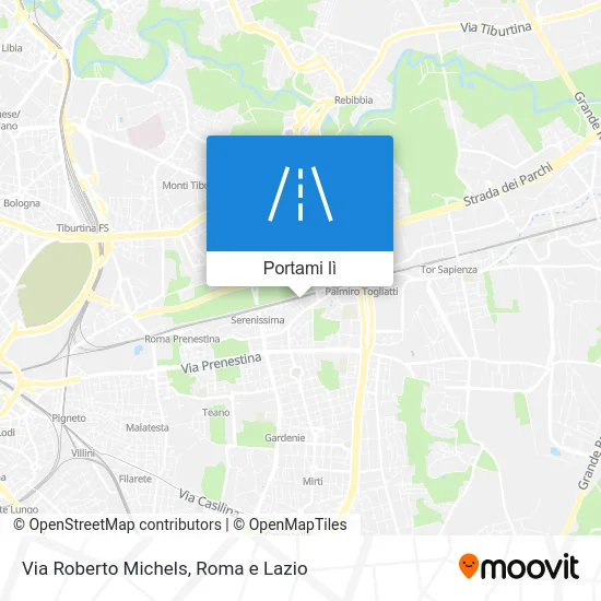 Mappa Via Roberto Michels