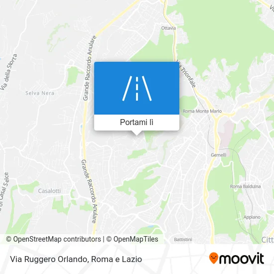 Mappa Via Ruggero Orlando