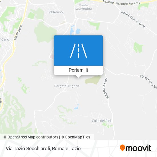Mappa Via Tazio Secchiaroli