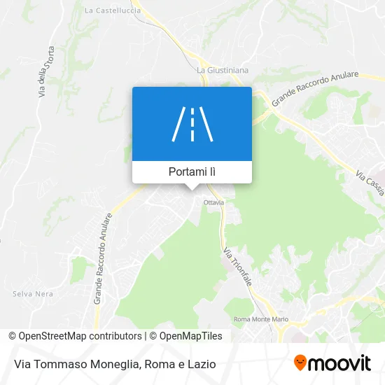 Mappa Via Tommaso Moneglia