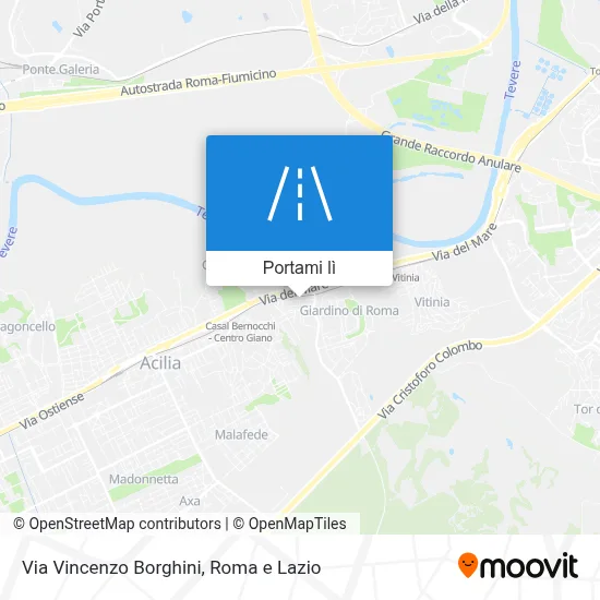 Mappa Via Vincenzo Borghini