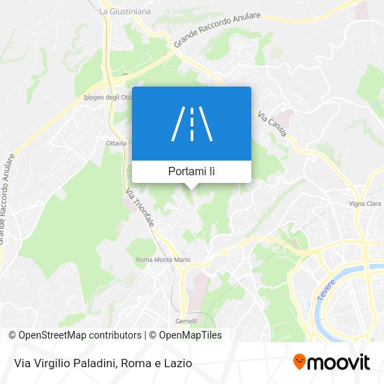 Mappa Via Virgilio Paladini