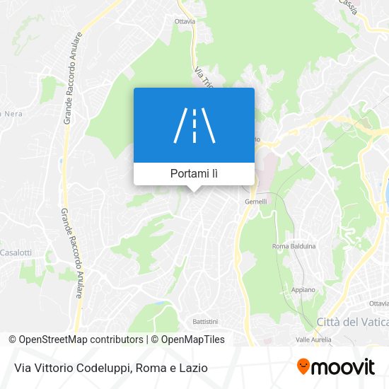 Mappa Via Vittorio Codeluppi