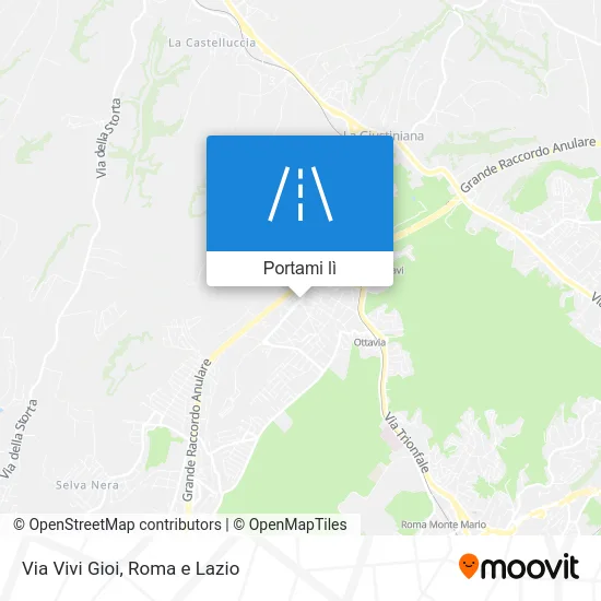 Mappa Via Vivi Gioi