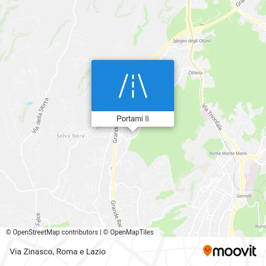 Mappa Via Zinasco