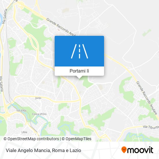 Mappa Viale Angelo Mancia