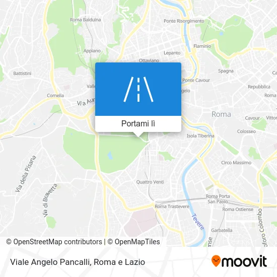 Mappa Viale Angelo Pancalli