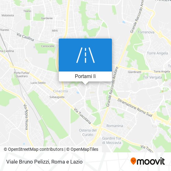 Mappa Viale Bruno Pelizzi