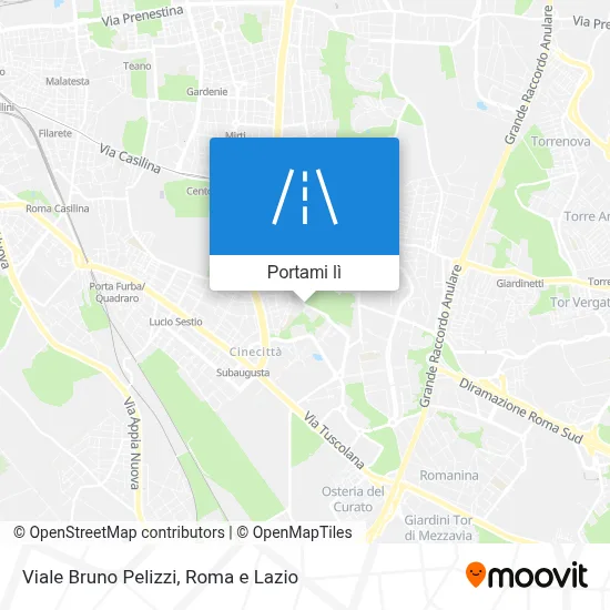 Mappa Viale Bruno Pelizzi