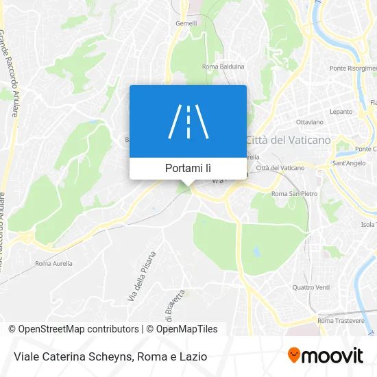 Mappa Viale Caterina Scheyns