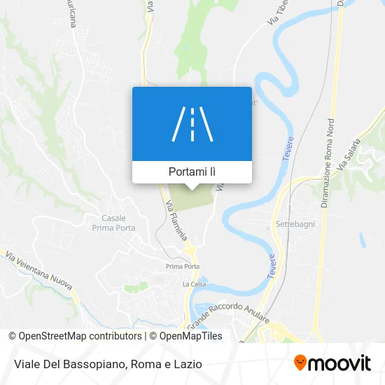Mappa Viale Del Bassopiano