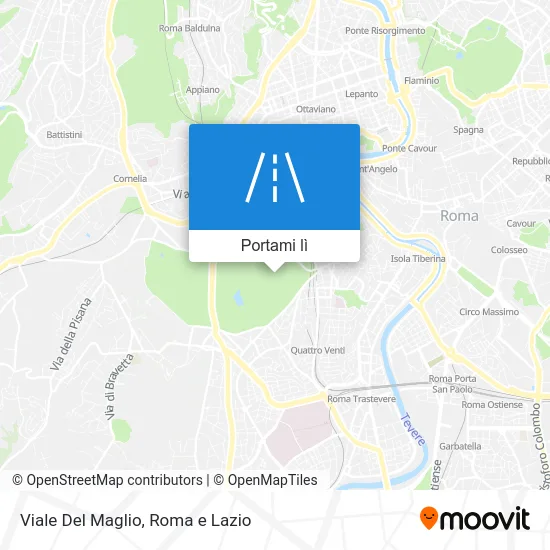 Mappa Viale Del Maglio