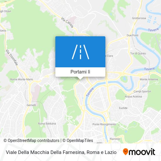 Mappa Viale Della Macchia Della Farnesina