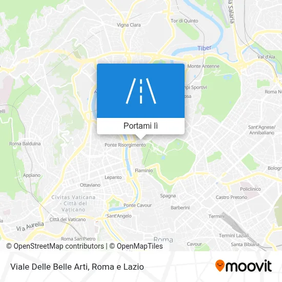 Mappa Viale Delle Belle Arti