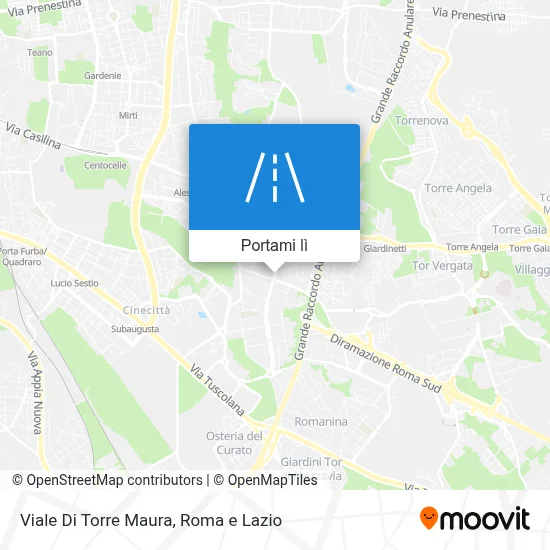 Mappa Viale Di Torre Maura