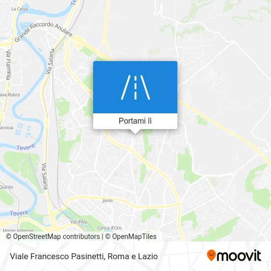 Mappa Viale Francesco Pasinetti