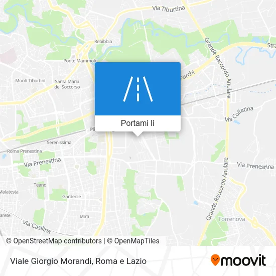 Mappa Viale Giorgio Morandi