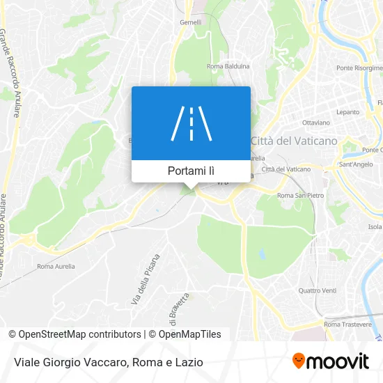 Mappa Viale Giorgio Vaccaro