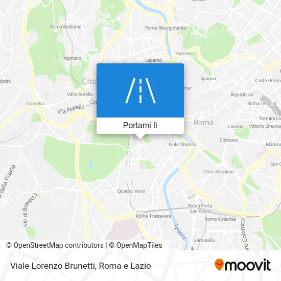 Mappa Viale Lorenzo Brunetti