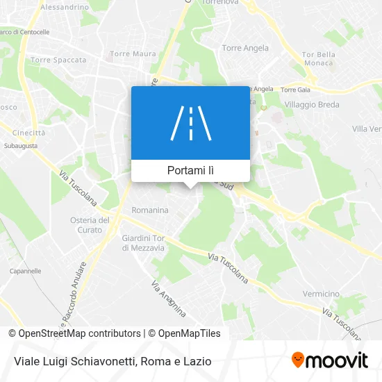 Mappa Viale Luigi Schiavonetti