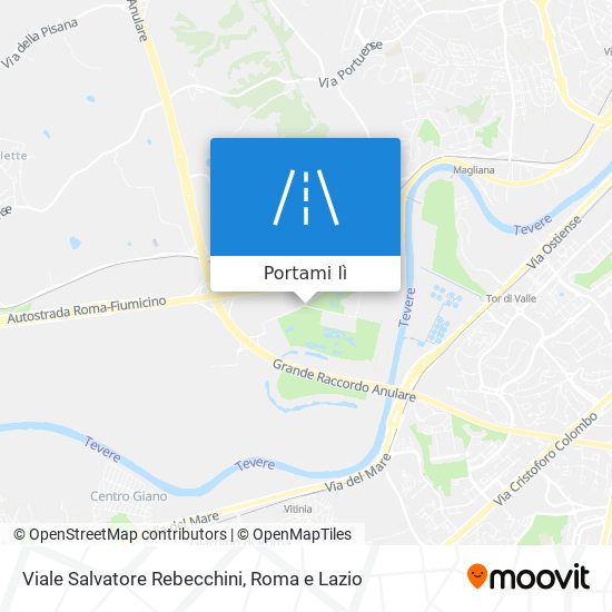 Mappa Viale Salvatore Rebecchini