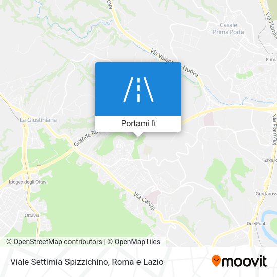 Mappa Viale Settimia Spizzichino
