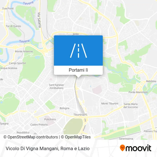 Mappa Vicolo Di Vigna Mangani