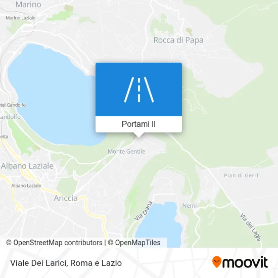 Mappa Viale Dei Larici