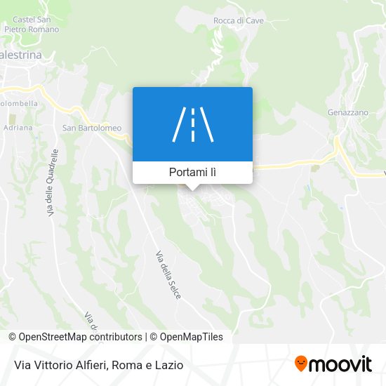 Mappa Via Vittorio Alfieri