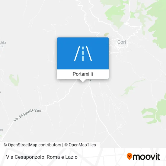 Mappa Via Cesaponzolo