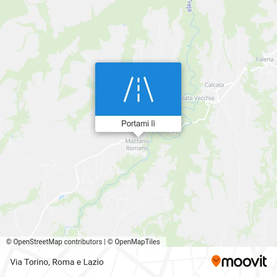 Mappa Via Torino