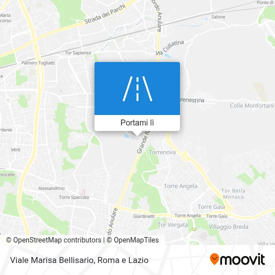 Mappa Viale Marisa Bellisario