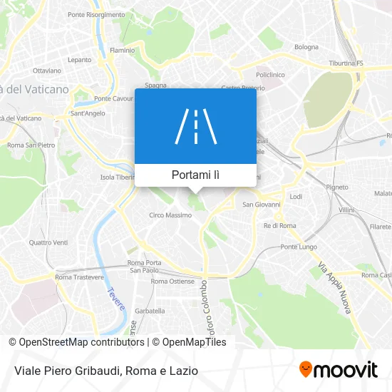 Mappa Viale Piero Gribaudi