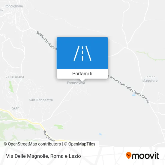 Mappa Via Delle Magnolie