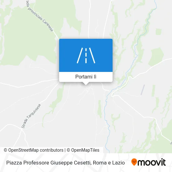 Mappa Piazza Professore Giuseppe Cesetti