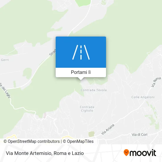 Mappa Via Monte Artemisio