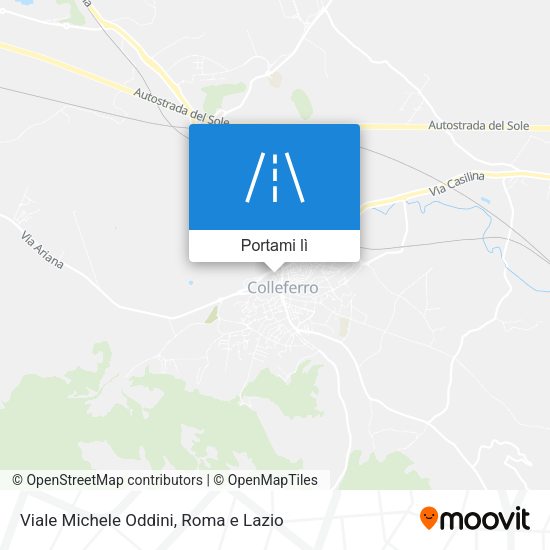 Mappa Viale Michele Oddini