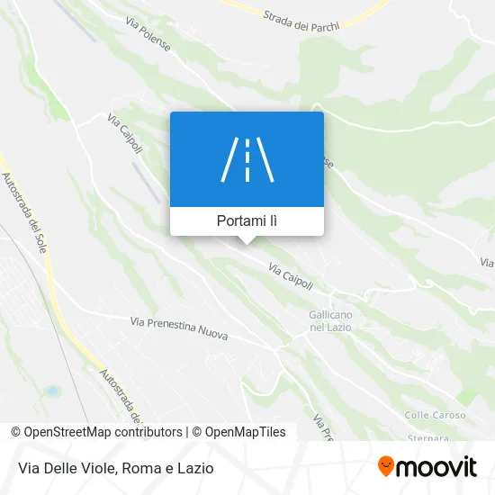 Mappa Via Delle Viole