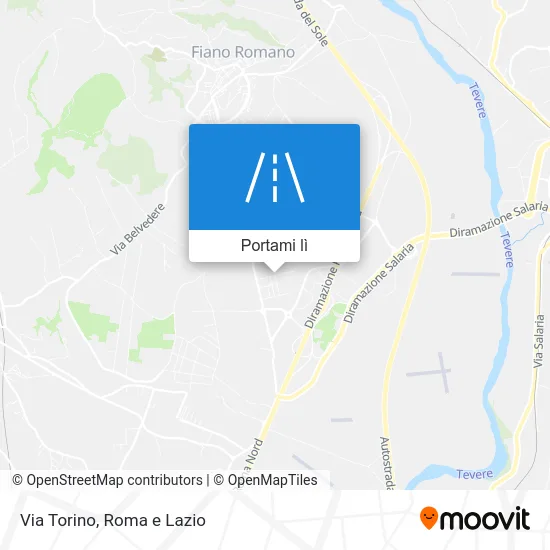 Mappa Via Torino